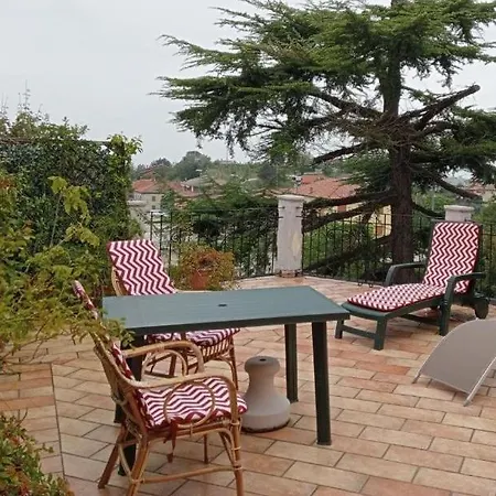 Langhe Flat Mango
